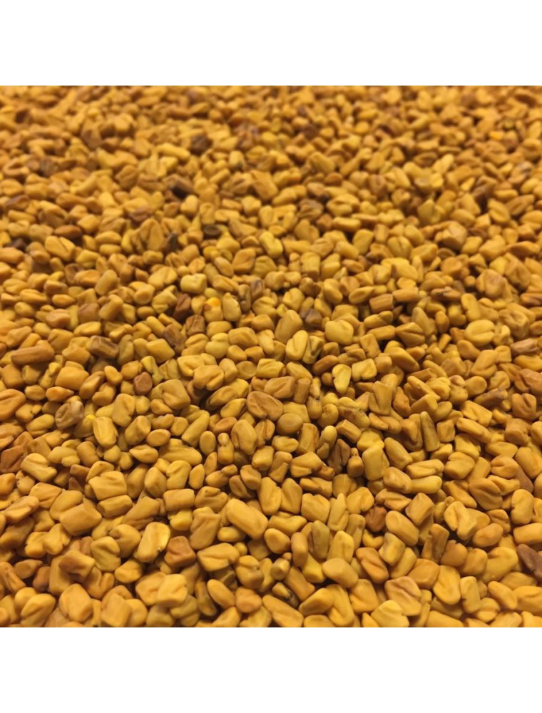 FENUGREC BiO, Graine poudre (Trigonella foenum-graecum) - Apophycaire  Option 100gr