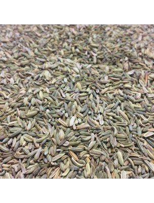 Image de Fenouil Bio - Graines 100g - Tisane de Foeniculum vulgare Mill. depuis PrestaBlog