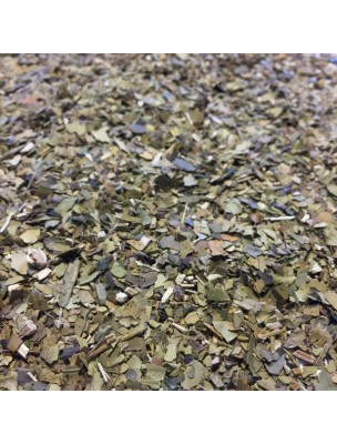 Image de Maté Bio - Feuilles coupées 100g - Tisane Ilex paraguariensis depuis PrestaBlog