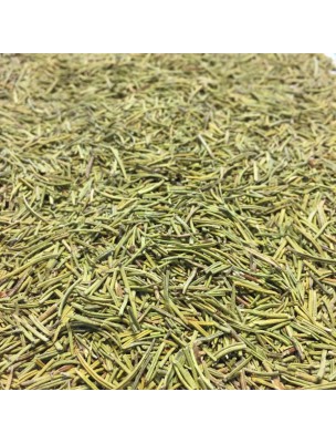 Image de Romarin Bio - Feuilles 100g - Tisane de Rosmarinus officinalis L. depuis Verveine citronnée Bio - Feuilles brisures 50g