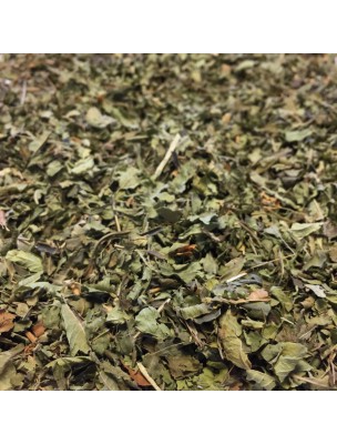 Image de Verveine citronnée (odorante) Bio - Feuilles brisures 50g - Tisane Aloysia citriodora Palau depuis PrestaBlog