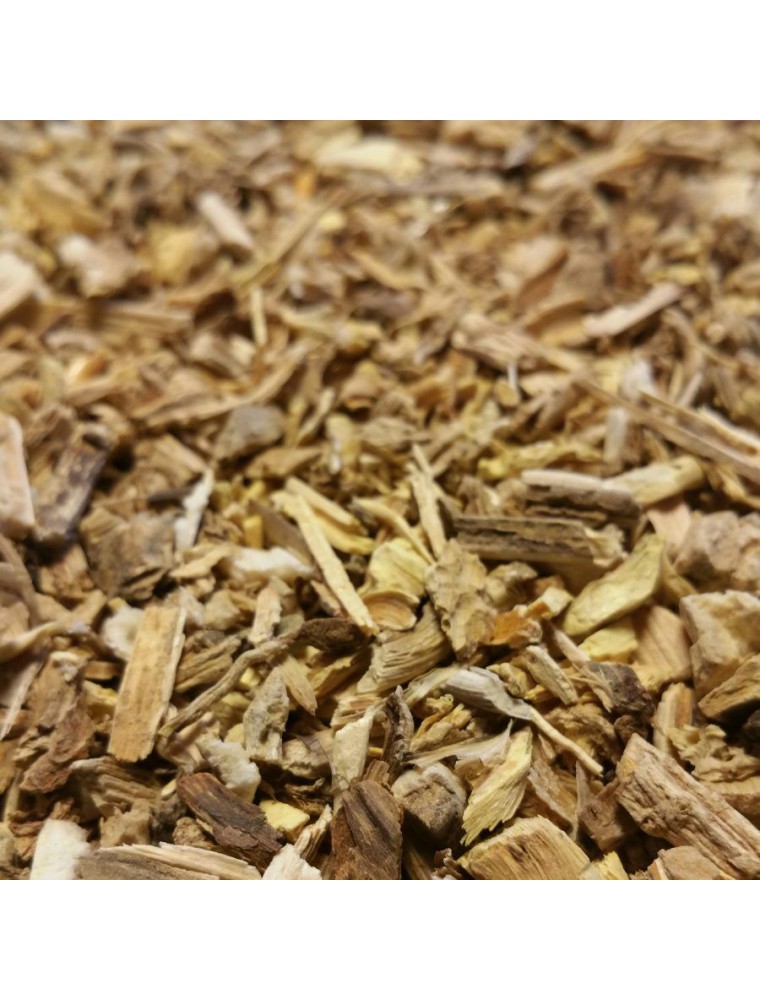 Acheter Fenouil - Racine 100g - Tisane de Foeniculum vulgare