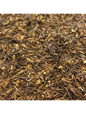 Image de Rooibos Bio - Partie aérienne 100g - Tisane de Aspalathus linearis depuis PrestaBlog