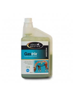 Image de Gastrix - Soutien de la Muqueuse Gastrique pour chevaux 946ml - Horse Master via Equiflora - Soutien Digestif Chevaux 500g