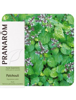 Image de Patchouli - Huile essentielle de Pogostemon cablin 5 ml - Pranarôm depuis ▷▷ Huiles essentielles de plantes commençant par la lettre P