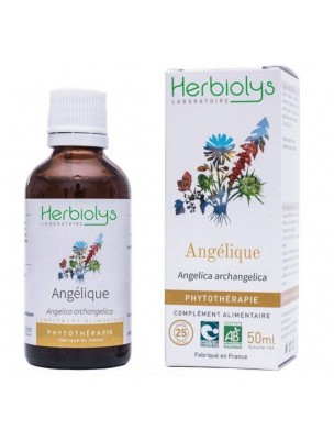 Image de Angélique Bio - Digestion et Tonique Teinture-mère Angelica archangelica 50 ml - Herbiolys depuis PrestaBlog