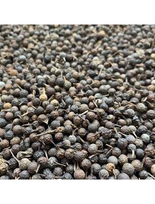 Image de Cubèbe (Poivre à Queue) - Fruit 100g - Tisane de Piper cubeba depuis Herboristerie Louis - Produits de phytothérapie et d'herboristerie en ligne (49)