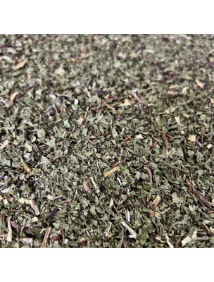 Image de Menthe poivrée Bio - Feuilles brisures 100g -Tisane de Mentha piperita L. depuis PrestaBlog