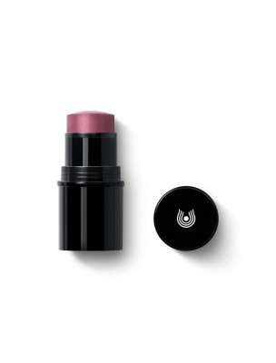 Image de Baume Stick Lèvres et Joues - Bois de Rose 03 6,1g - Dr Hauschka depuis Découvrez notre sélection de produits de phytothérapie pour un maquillage naturel