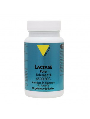 Image de Lactase - Digestion et Flore Intestinale 60 gélules végétales - Vit'all+ depuis Résultats de recherche pour "Tisani%EF%BF%BD%EF%BF%BDre Paon ?controller=404"