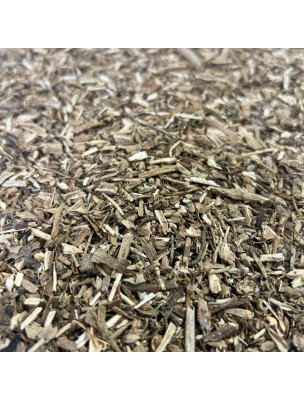 Image de Criste marine - Partie aérienne coupée 100 g - Tisane de Crithmum maritimum depuis Herboristerie Louis - Produits de phytothérapie et d'herboristerie en ligne (49)