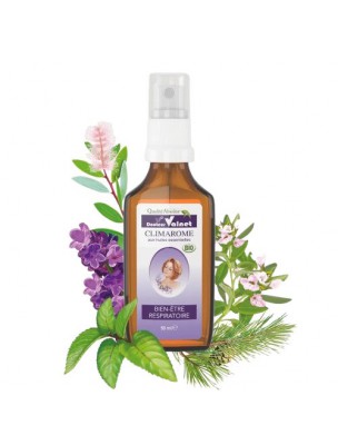 Image de Climarome Bio - Bien-Être Respiratoire 50 ml - Docteur Valnet depuis Huiles essentielles - Découvrez nos produits naturels (7)