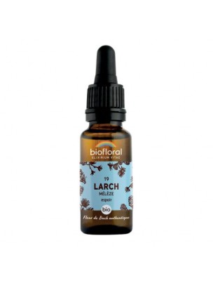 Image de Larch Mélèze n°19 - Courage et Espoir Bio aux fleurs de Bach 20 ml - Biofloral depuis Achetez les produits Biofloral à l'herboristerie Louis