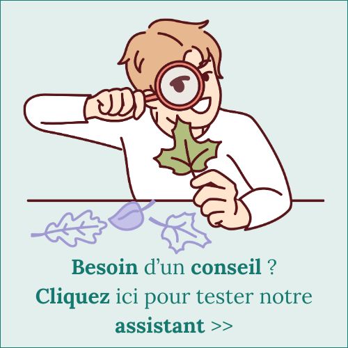 assistant herboriste