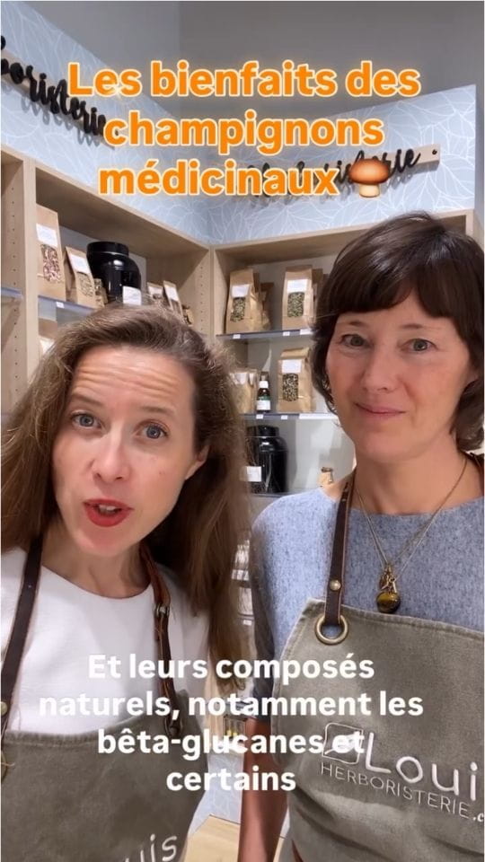 Deux femmes en tablier Louis Herboristerie devant des étagères de plantes, avec les textes incrustés Les bienfaits des champignons médicinaux et Et leurs composés naturels, notamment les bêta-glucanes