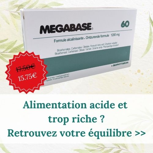 Boite de MegaBase